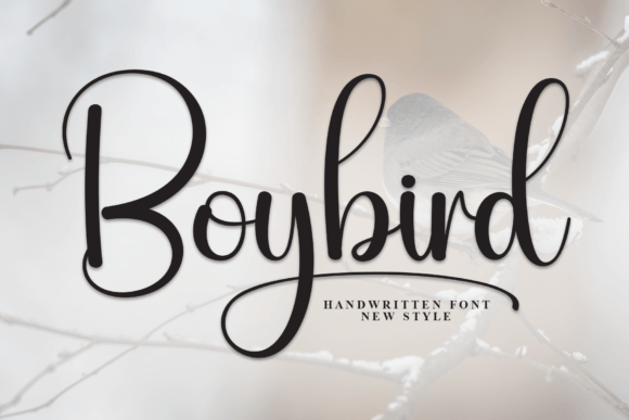 Boybird Typeface: A Handwritten Script for Elegant Branding