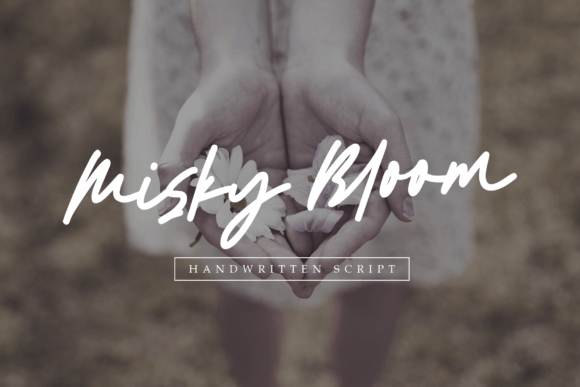 Misky Bloom Typeface Review: A Script Font for Digital Branding